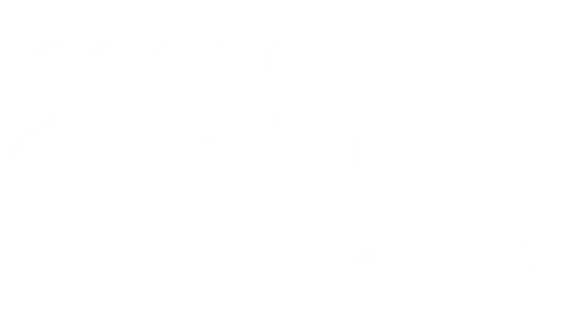 FIS